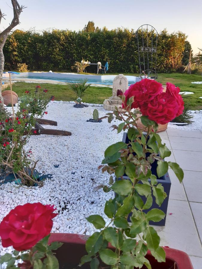 Petit Coin De Charme Villa Seyresse Eksteriør billede